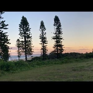 Meet your Posher, Ella